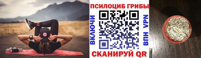 Псилоцибиновые грибы GOLDEN TEACHER  Усолье 